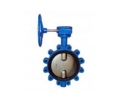Lug type worm gear butterfly valves